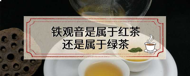 铁观音是属于红茶还是属于绿茶