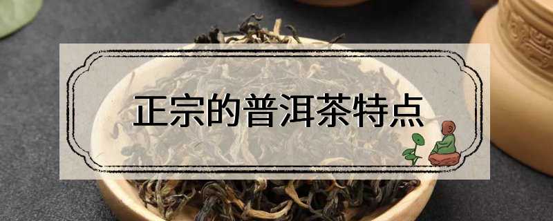 正宗的普洱茶特点