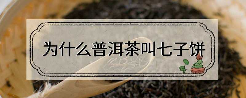 为什么普洱茶叫七子饼