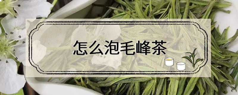 怎么泡毛峰茶