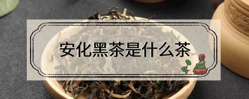 安化黑茶是什么茶