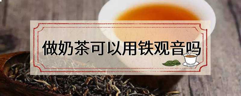 做奶茶可以用铁观音吗