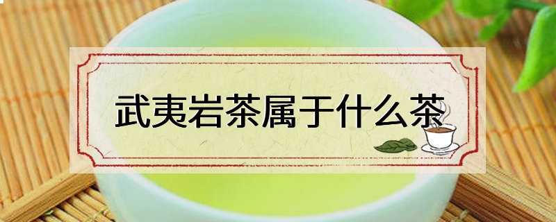 武夷岩茶属于什么茶