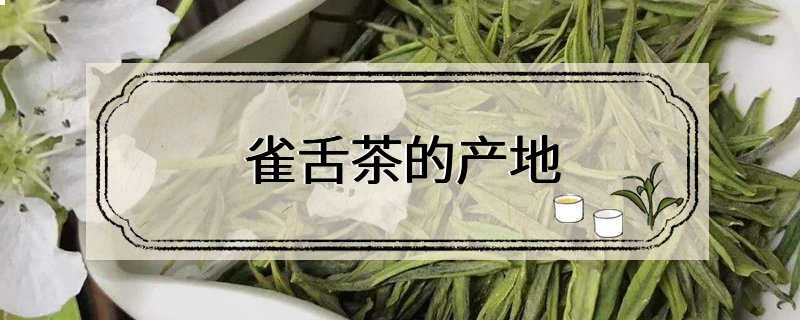 雀舌茶的产地