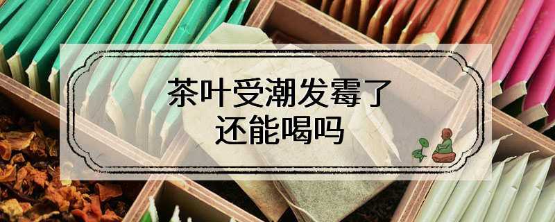 茶叶受潮发霉了还能喝吗