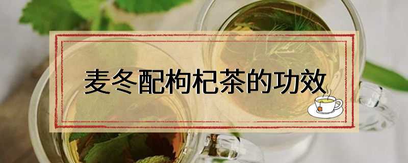 麦冬配枸杞茶的功效