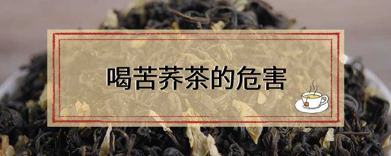 喝苦荞茶的危害