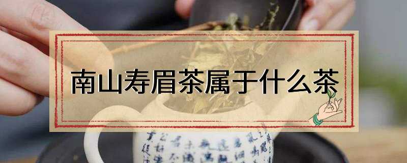 南山寿眉茶属于什么茶