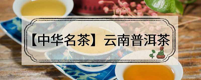 【中华名茶】云南普洱茶