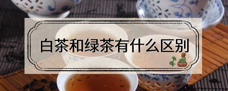 白茶和绿茶有什么区别