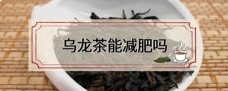 乌龙茶能减肥吗