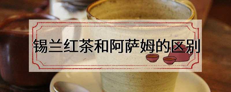 锡兰红茶和阿萨姆的区别