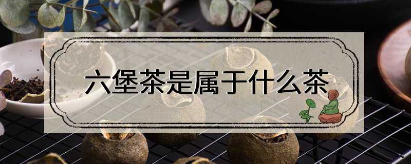 六堡茶是属于什么茶