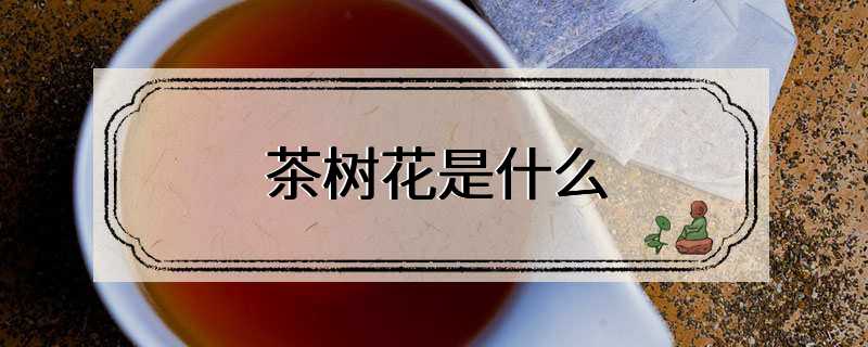 茶树花是什么