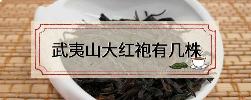 武夷山大红袍有几株