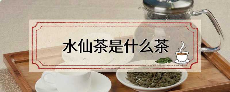 水仙茶是什么茶