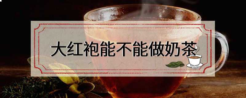 大红袍能不能做奶茶