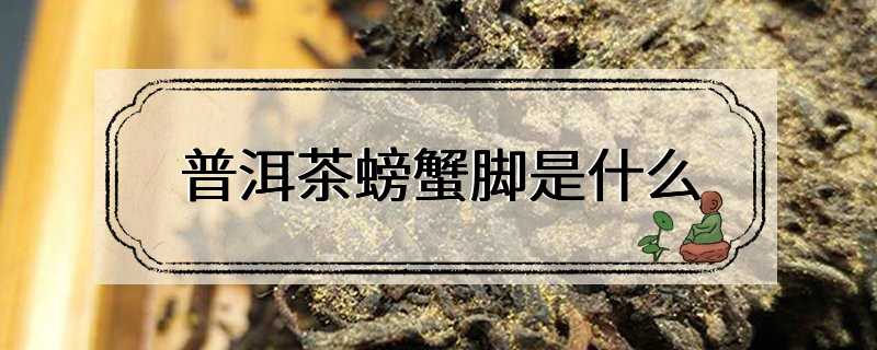 普洱茶螃蟹脚是什么