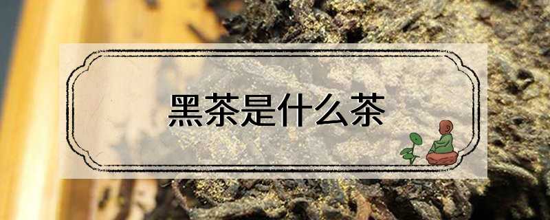 黑茶是什么茶