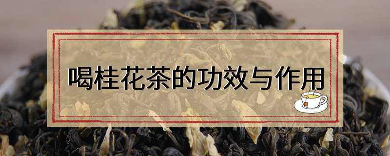 喝桂花茶的功效与作用