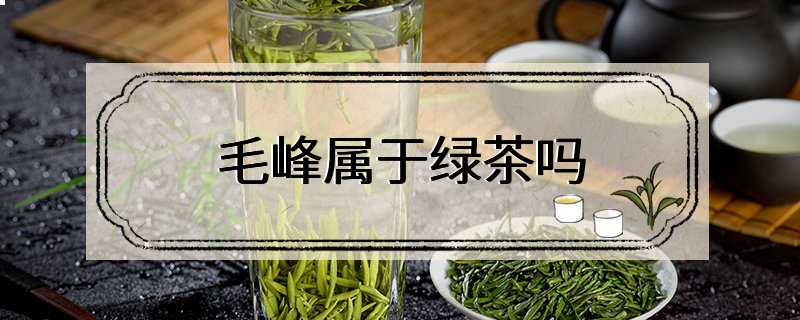 毛峰属于绿茶吗