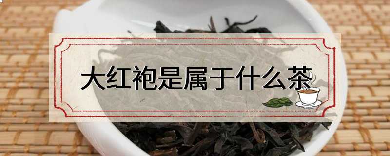 大红袍是属于什么茶