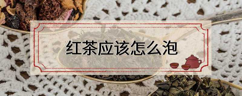 红茶应该怎么泡