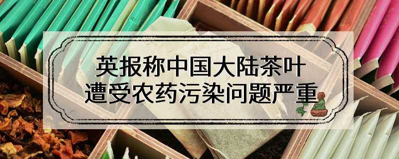 英报称中国大陆茶叶遭受农药污染问题严重