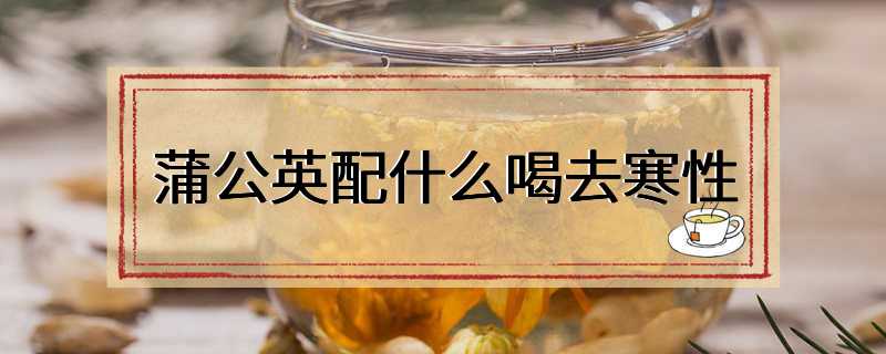 蒲公英配什么喝去寒性