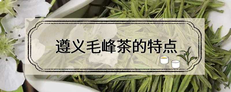 遵义毛峰茶的特点