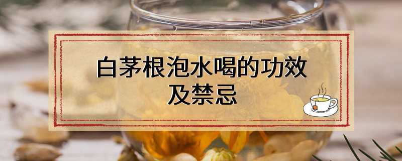 白茅根泡水喝的功效及禁忌