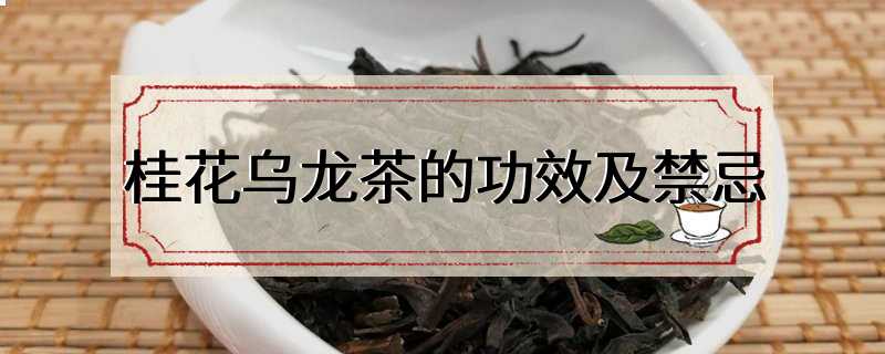 桂花乌龙茶的功效及禁忌