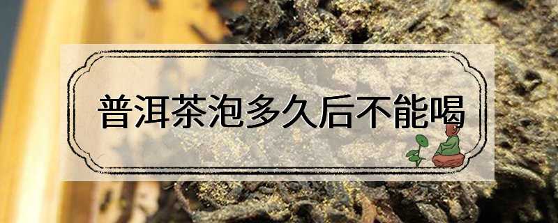 普洱茶泡多久后不能喝