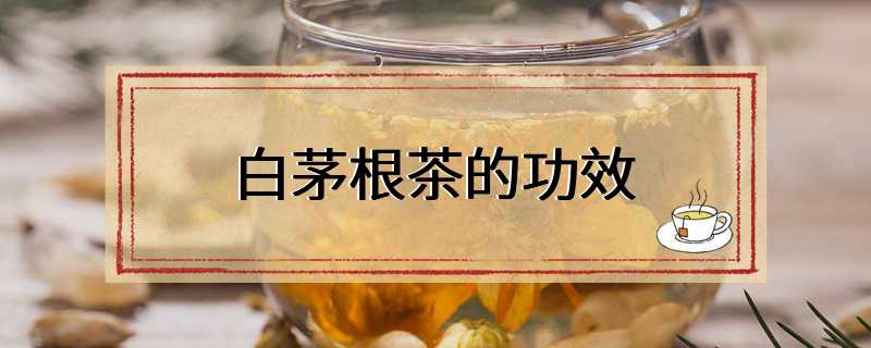 白茅根茶的功效