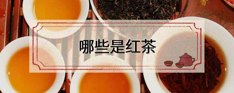 哪些是红茶