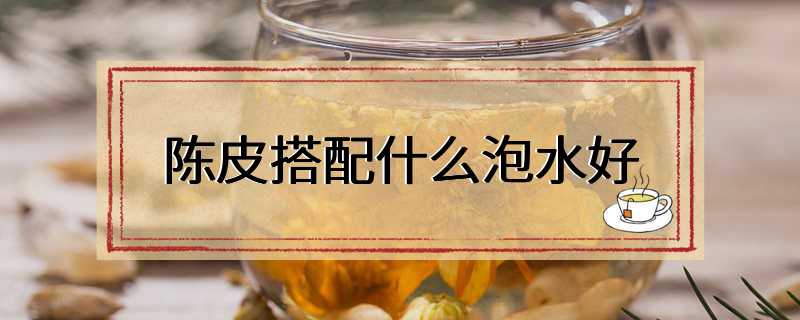 陈皮搭配什么泡水好