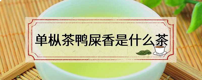 单枞茶鸭屎香是什么茶