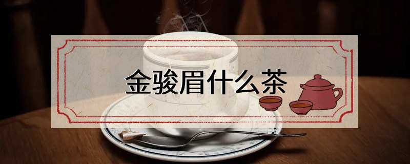 金骏眉什么茶