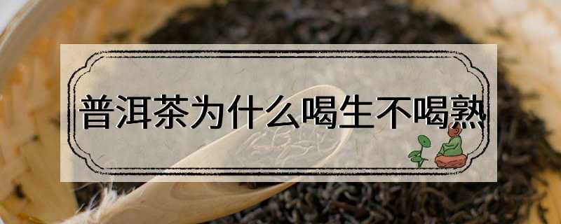 普洱茶为什么喝生不喝熟