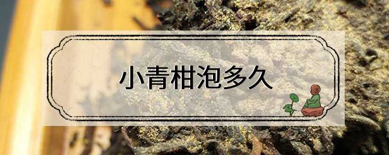 小青柑泡多久