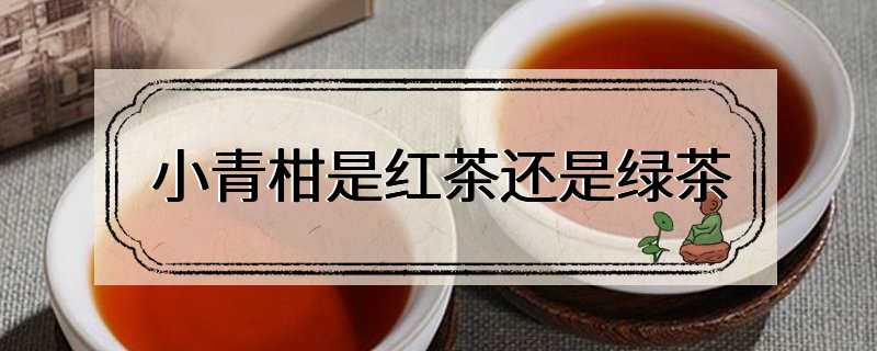 小青柑是红茶还是绿茶