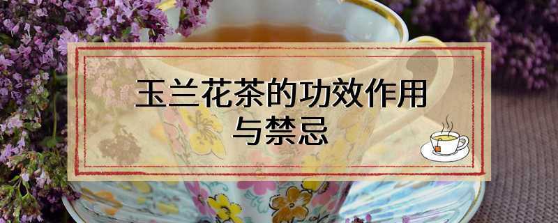 玉兰花茶的功效作用与禁忌