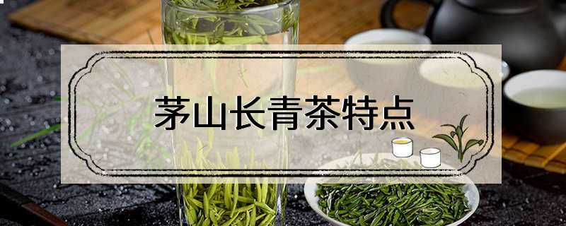 茅山长青茶特点