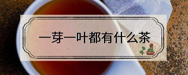 一芽一叶都有什么茶