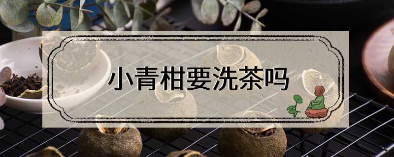 小青柑要洗茶吗