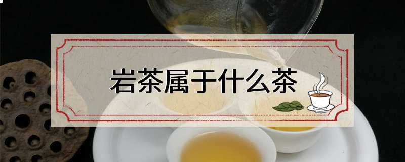 岩茶属于什么茶