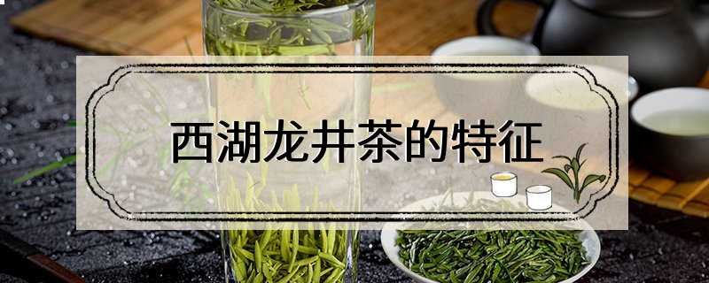 西湖龙井茶的特征