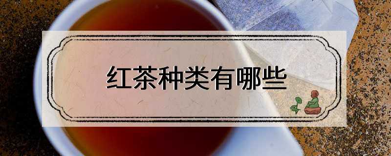 红茶种类有哪些