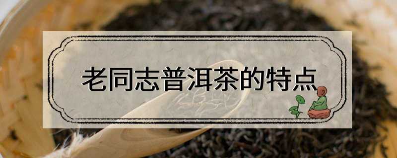 老同志普洱茶的特点