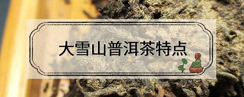 大雪山普洱茶特点